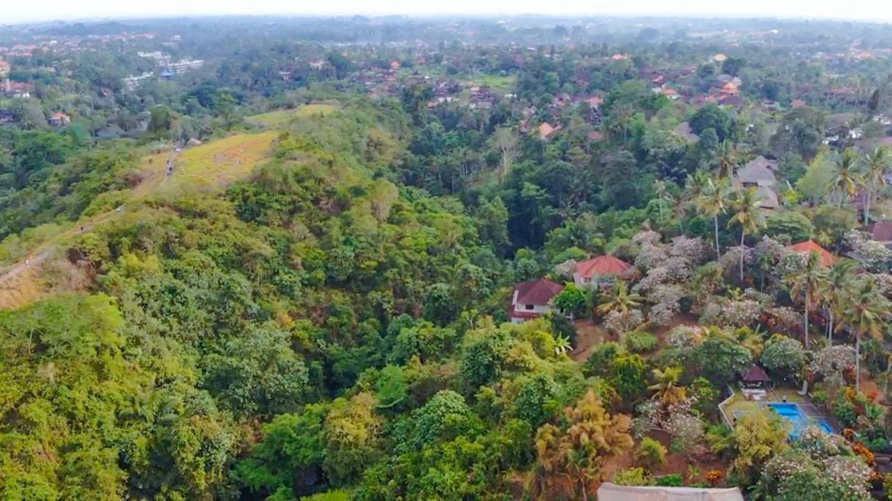 Hotel Taman Indrakila Ubud Exterior foto